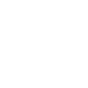 bitwise-ico
