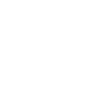 const_bool-ico