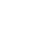 flip-ico