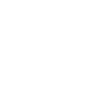 random-ico