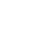 scalein-ico